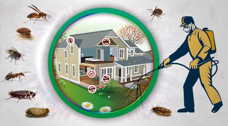 Tavas Böcek İlaçlama