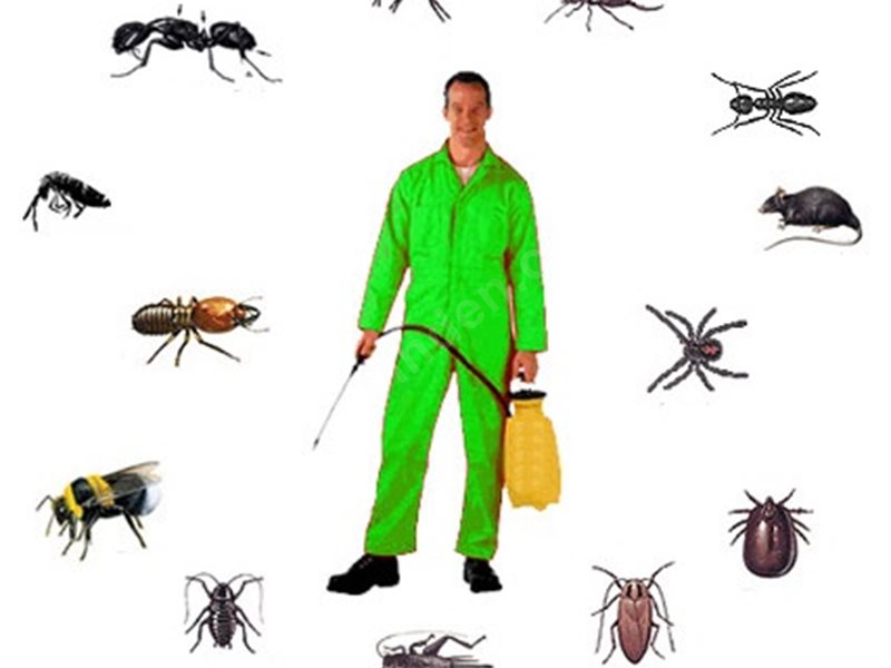 Tavas Böcek İlaçlama